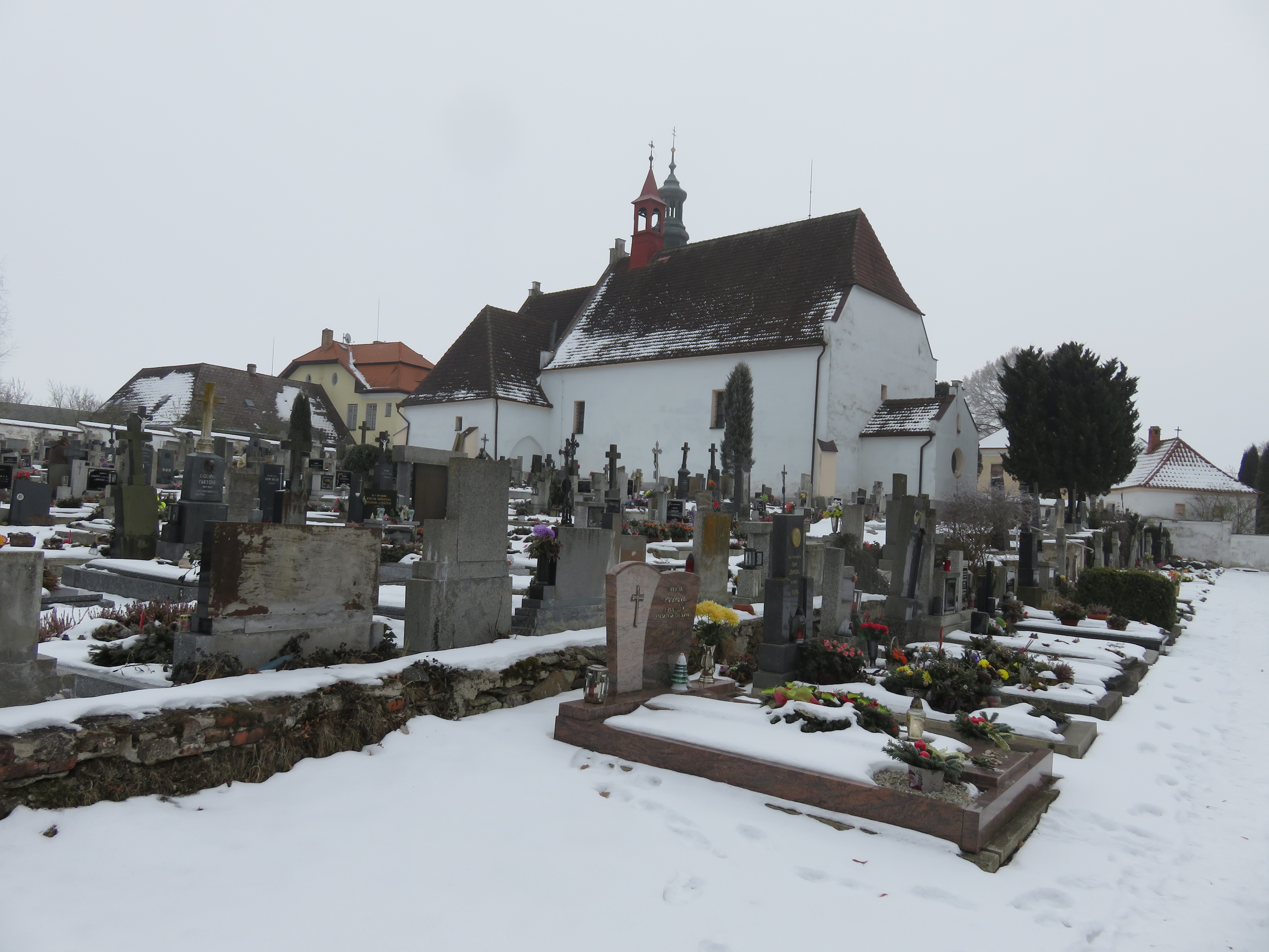 IMG_0415 (1)