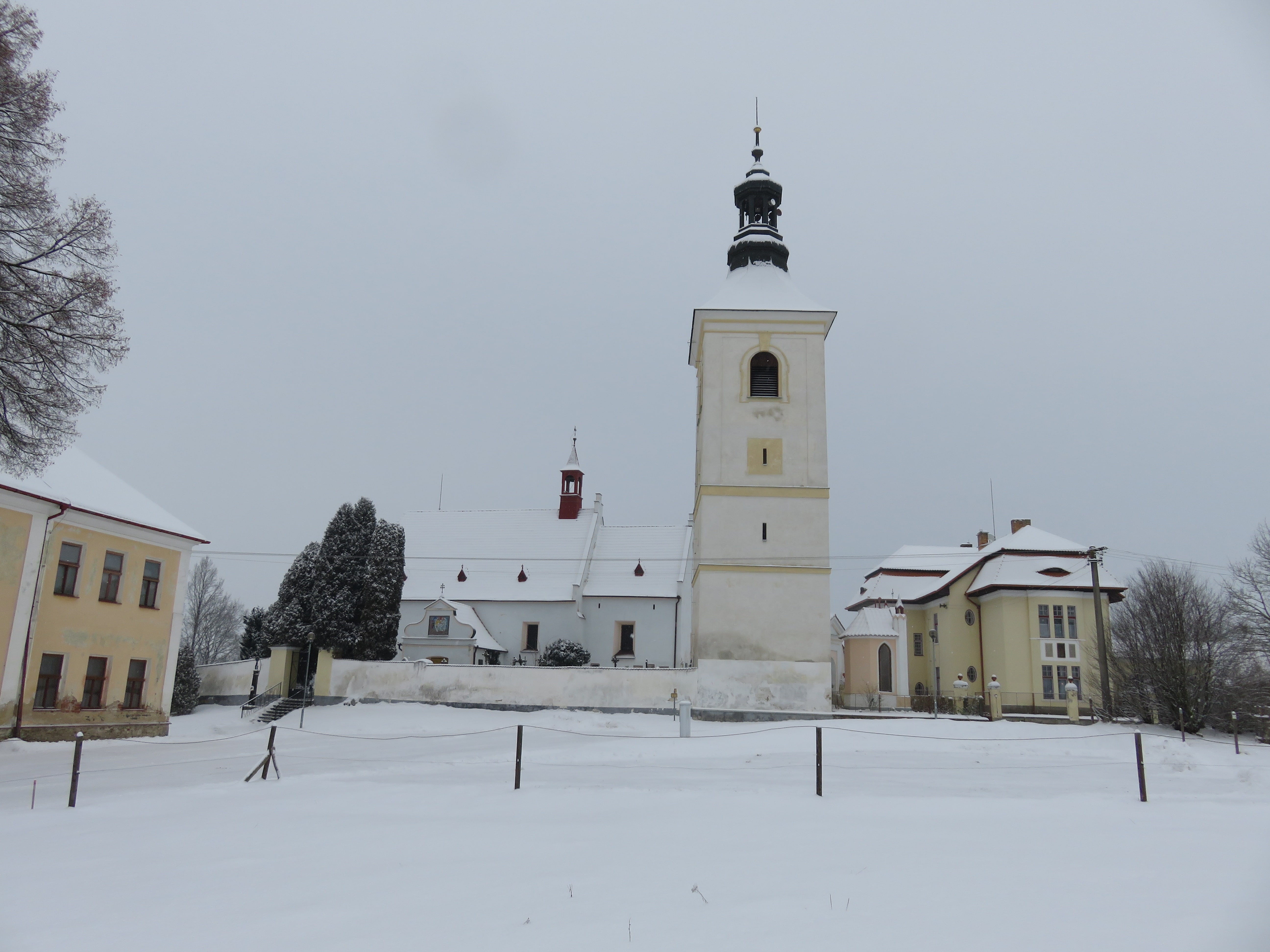 IMG_0391 (1)