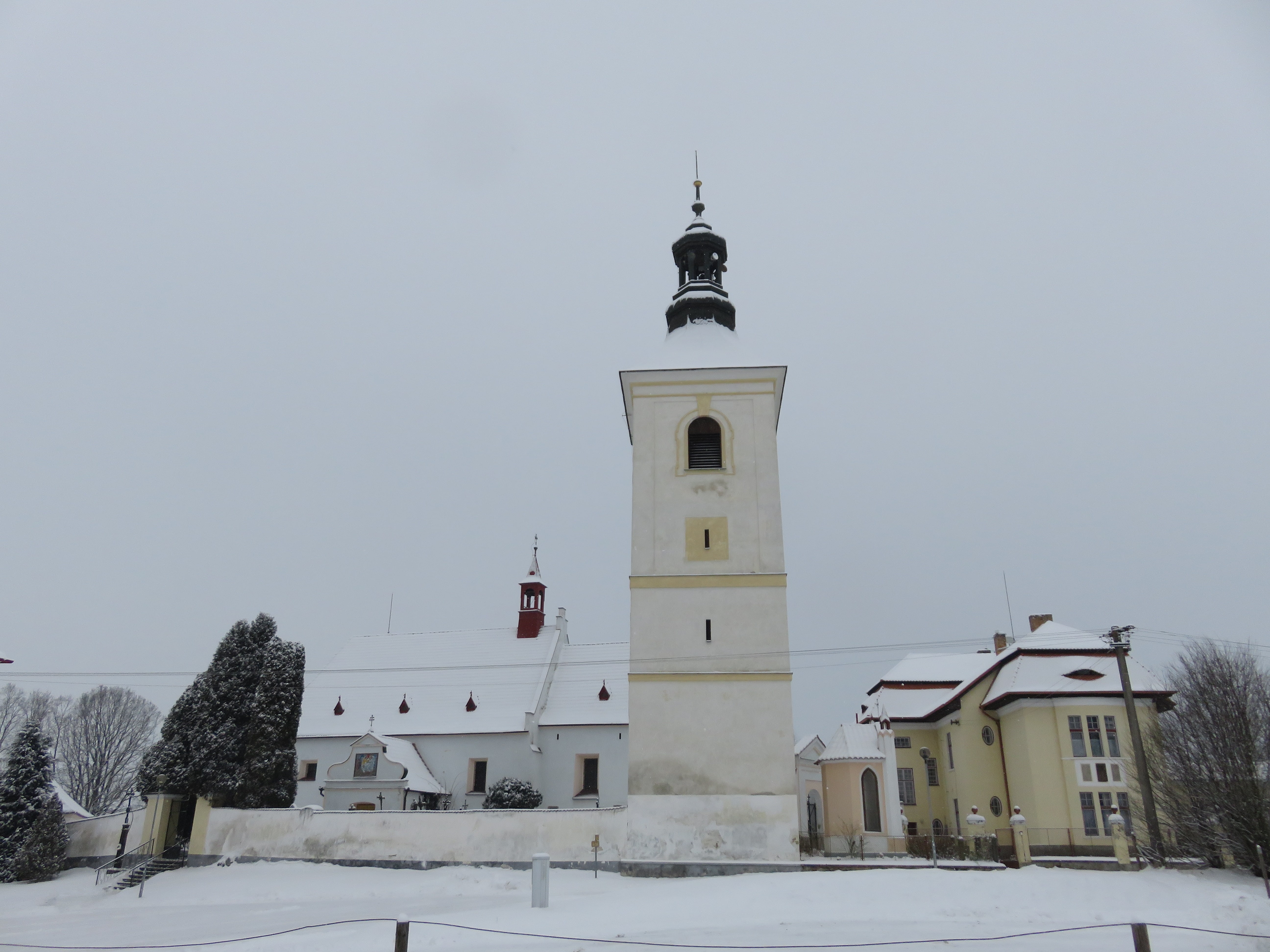 IMG_0393 (1)